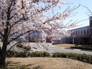 新潟医療福祉大学　入試事務室ブログ