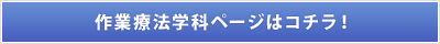 新潟医療福祉大学　作業療法学科