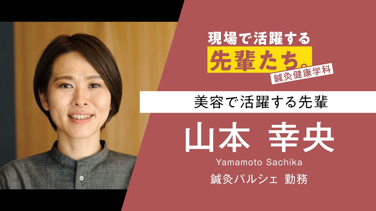 現場で活躍する先輩たち