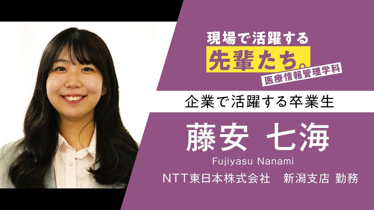 現場で活躍する先輩たち