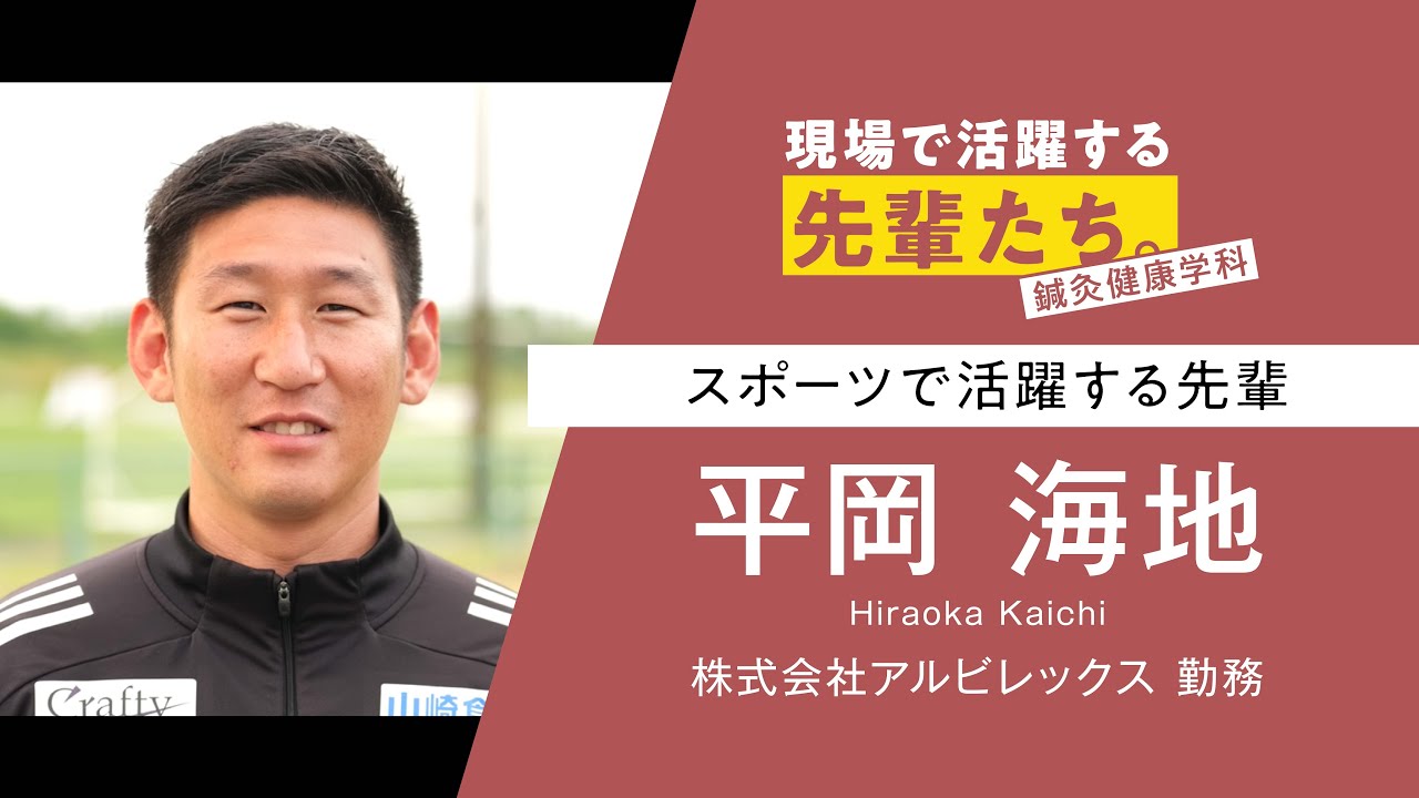 現場で活躍する先輩たち