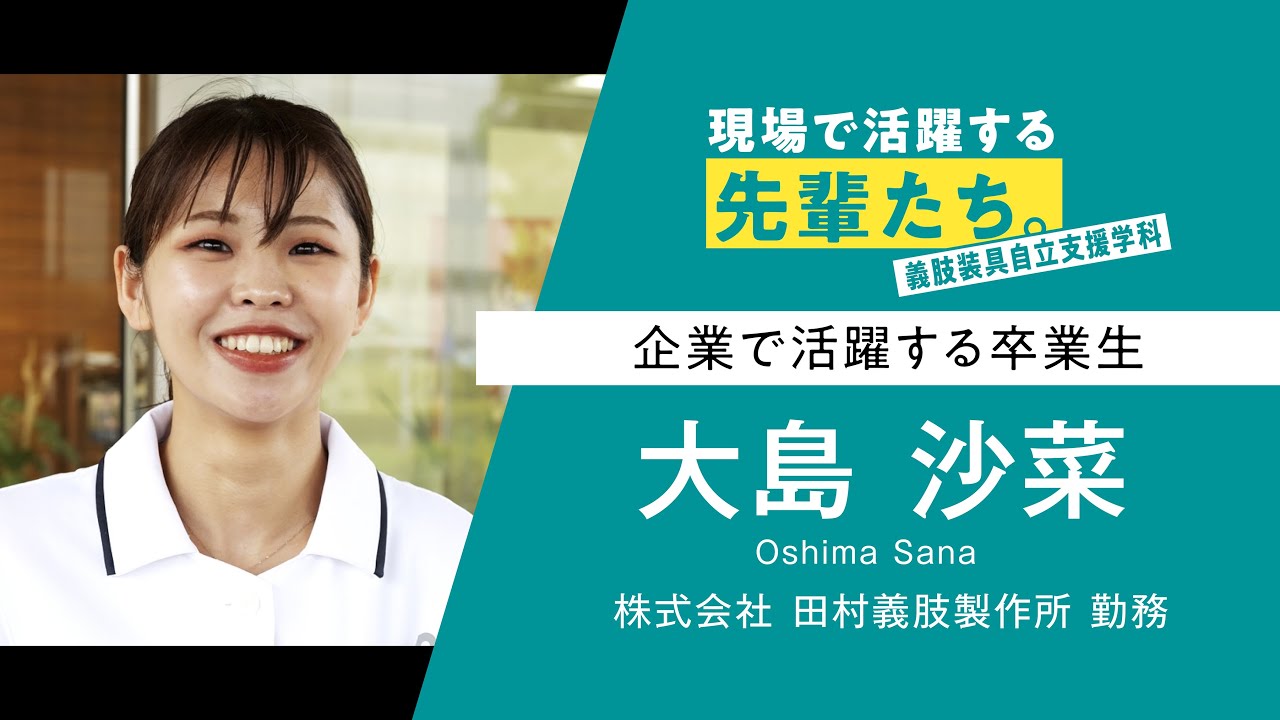 現場で活躍する先輩たち