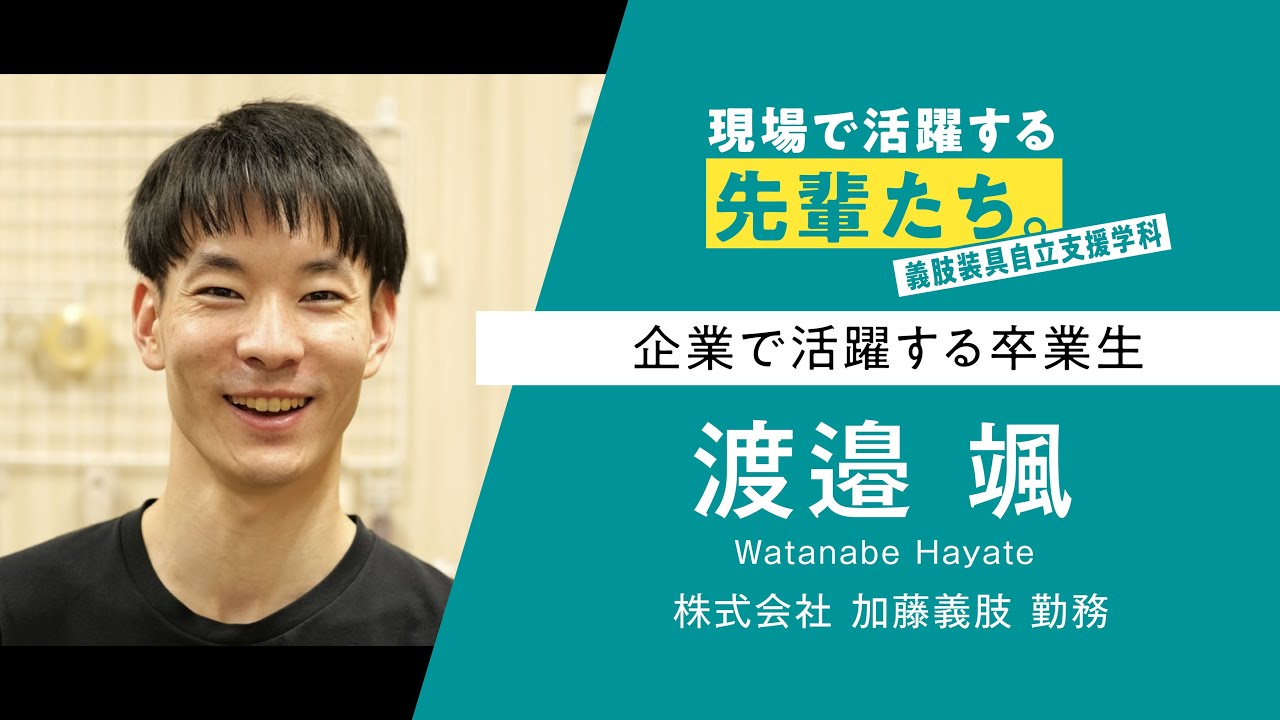 現場で活躍する先輩たち