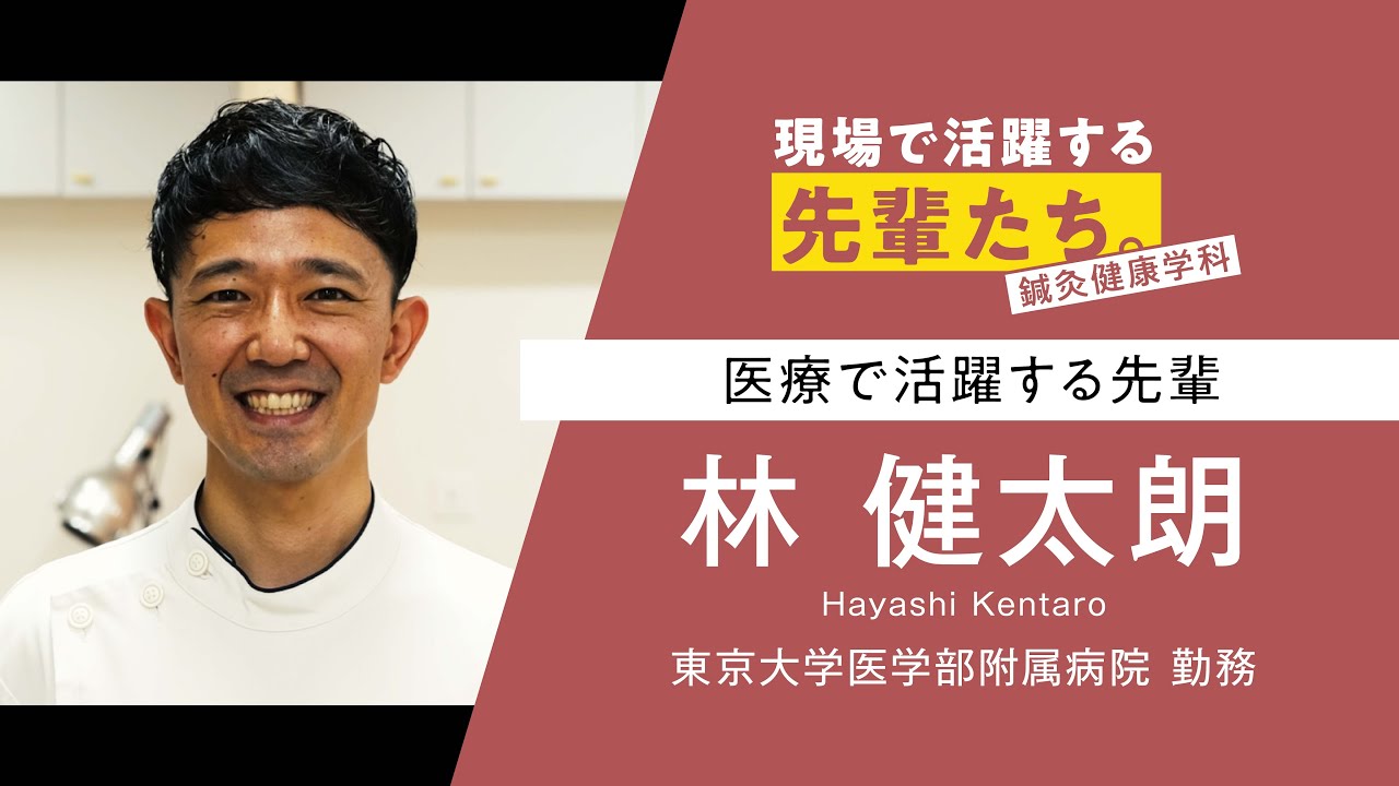 現場で活躍する先輩たち