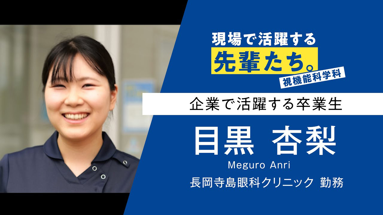 現場で活躍する先輩たち