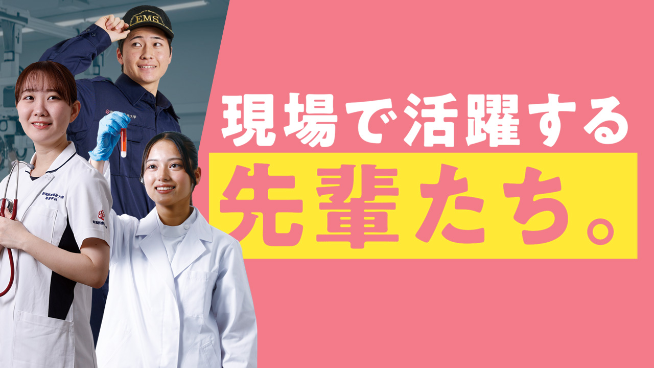 現場で活躍する先輩たち。