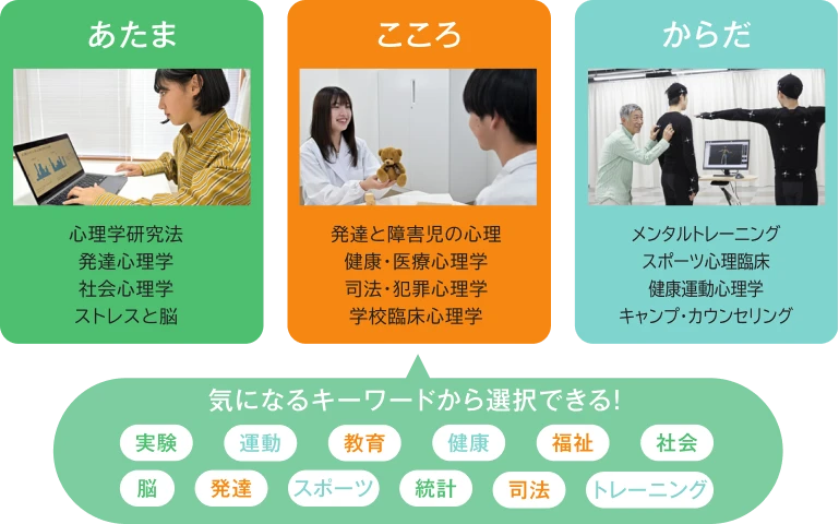 あたま・こころ・からだと選択科目の図