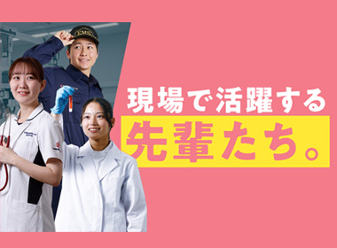 現場で活躍する先輩たち。