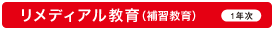 リメディアル教育（補習教育）（１年次）