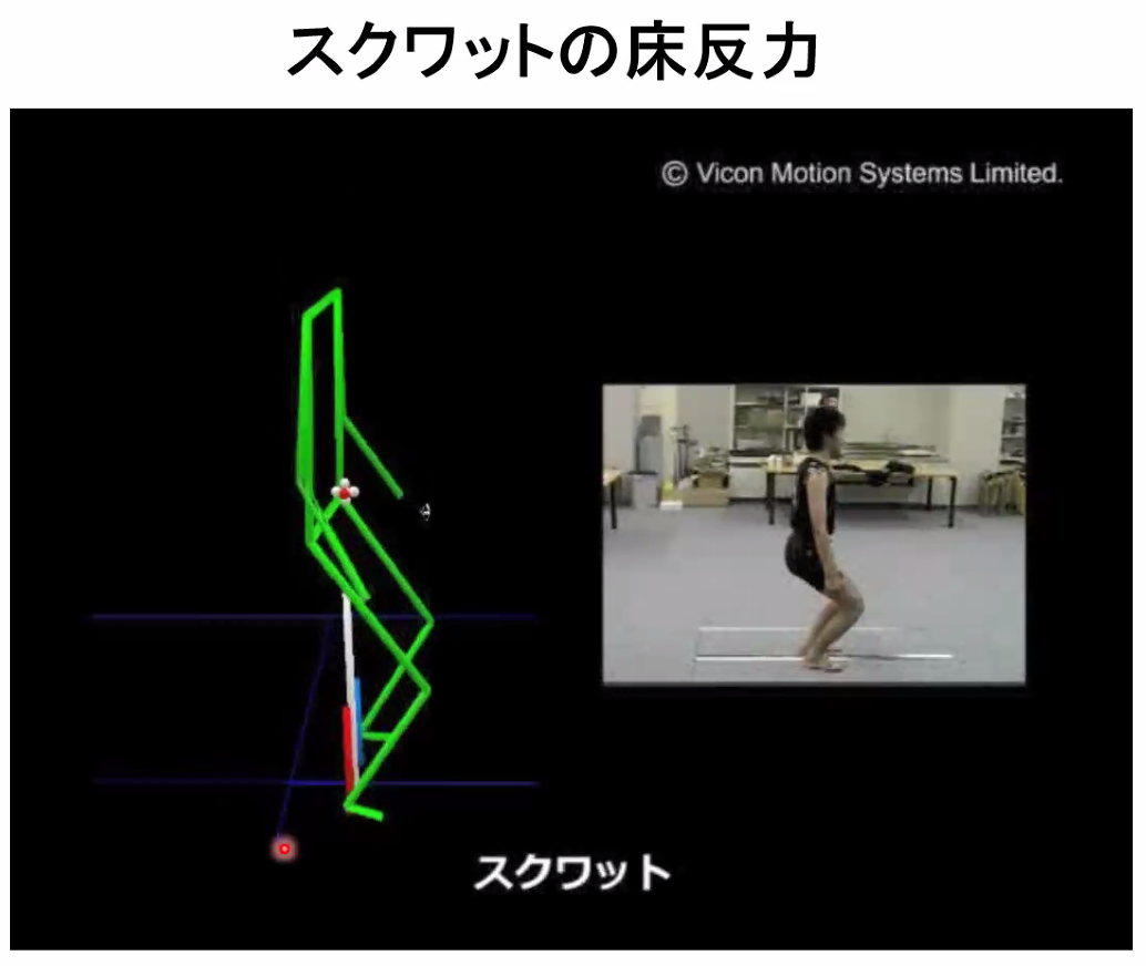 vicon部 基礎バイオメカニクス オンラインセミナー2020 初級 が開催されました トピックス ニュース 新潟医療福祉大学