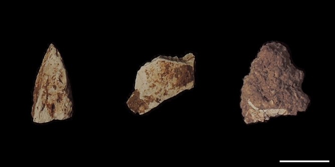 旧石器時代末期の狩猟対象を放射光X線CTで解明 ─特別史跡「福井洞窟」出土、約１万６千年前の焼骨片を非破壊で動物種推定─